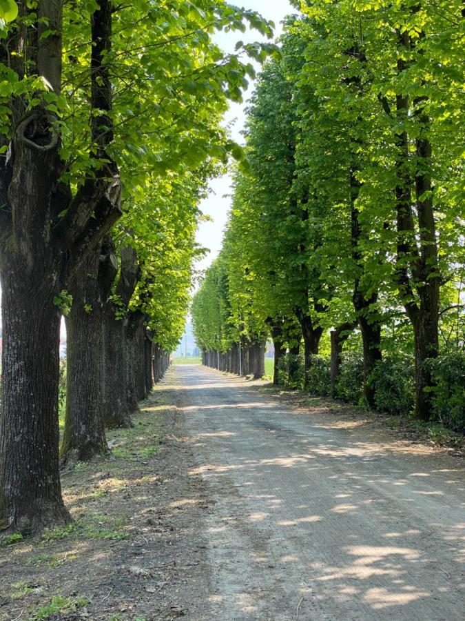 Tenuta Pizzone Villa Риванацано Екстериор снимка